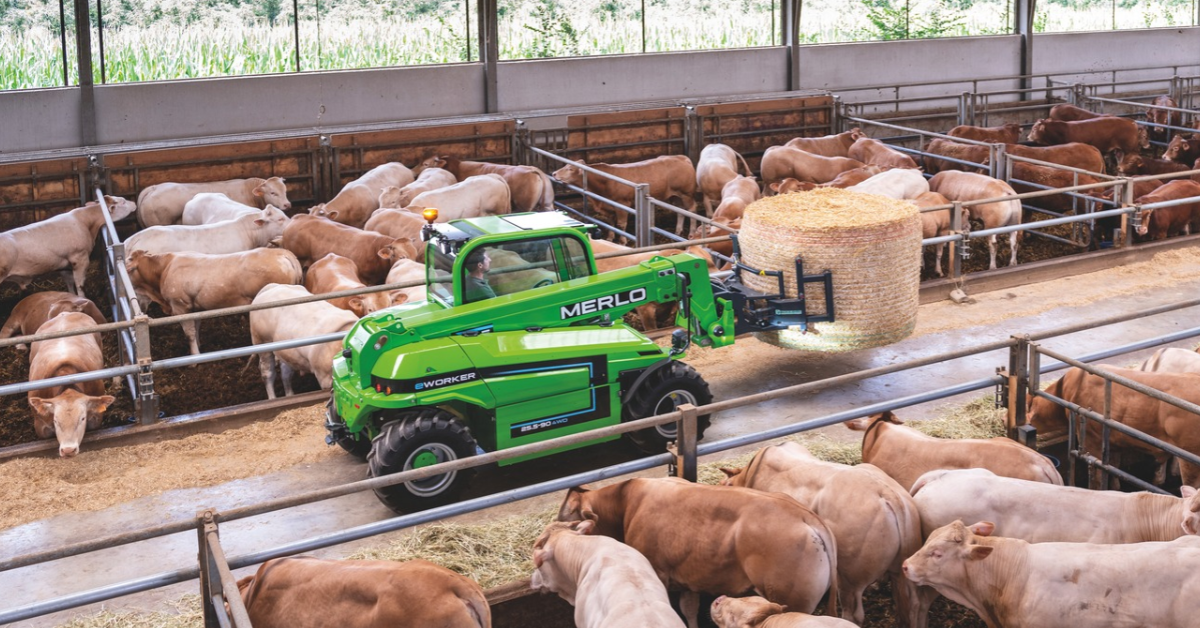 UK - Merlo Blog - 4 Pillars 1